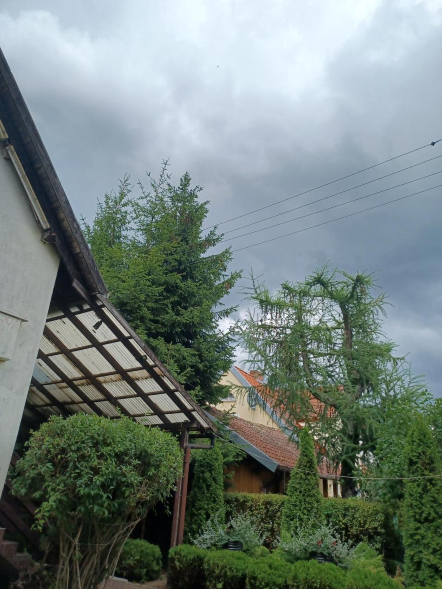 Apartamenty, Pokoje, Noclegi Pracownicze " Skarpa" Wilkasy Εξωτερικό φωτογραφία